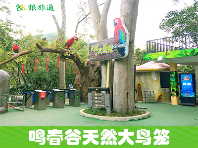 ��������Ȼ������