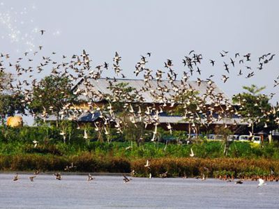 旅遊集散中心】 所在省市:廣東廣州 景區地址:廣州市南沙區萬頃沙鎮新