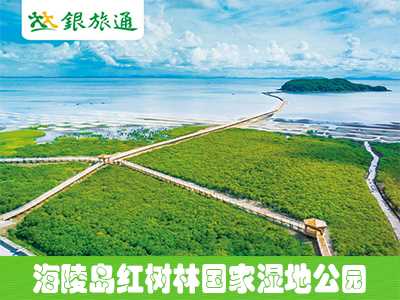 阳江海陵岛红树林国家湿地公园